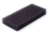 FOAM RUBBER